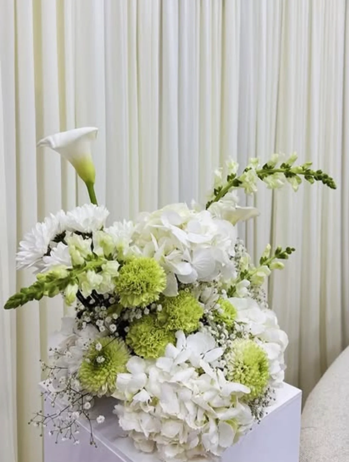ZAIA EVENTS photo 3