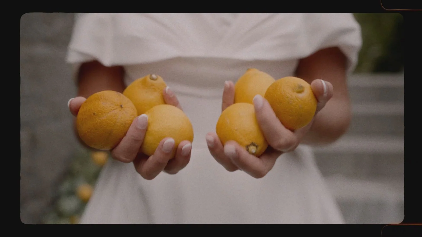 Alex Reper Films — Photographes / Vidéastes — Leefdaal — photo 6